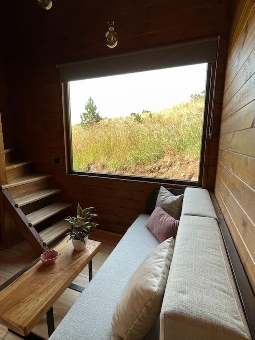 Mountain Eco Shelter 4 Funchal (Madeira) Exterior foto