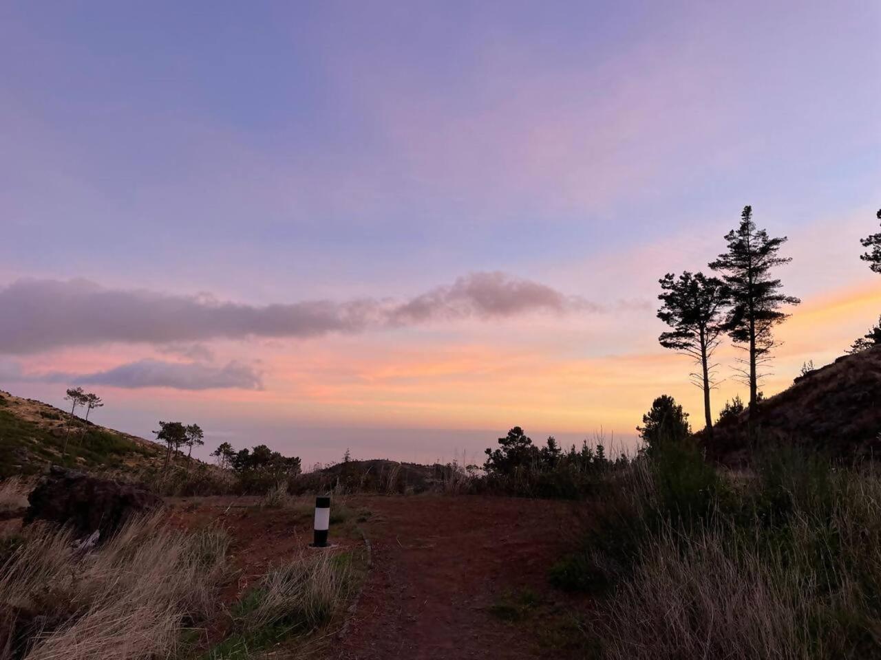 Mountain Eco Shelter 4 Funchal (Madeira) Exterior foto